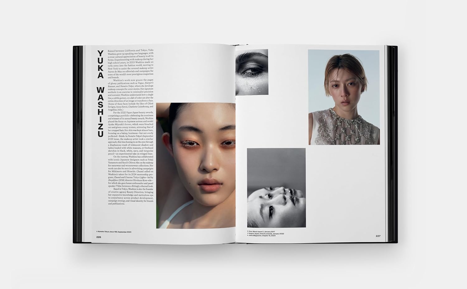 Blush: Contemporary Makeup Artists – Plastic Books