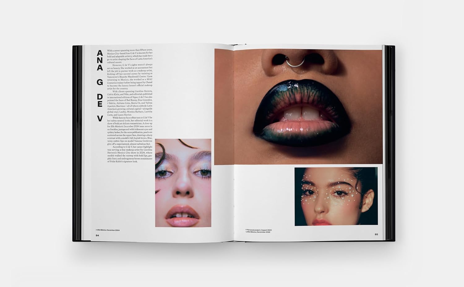 Blush: Contemporary Makeup Artists – Plastic Books