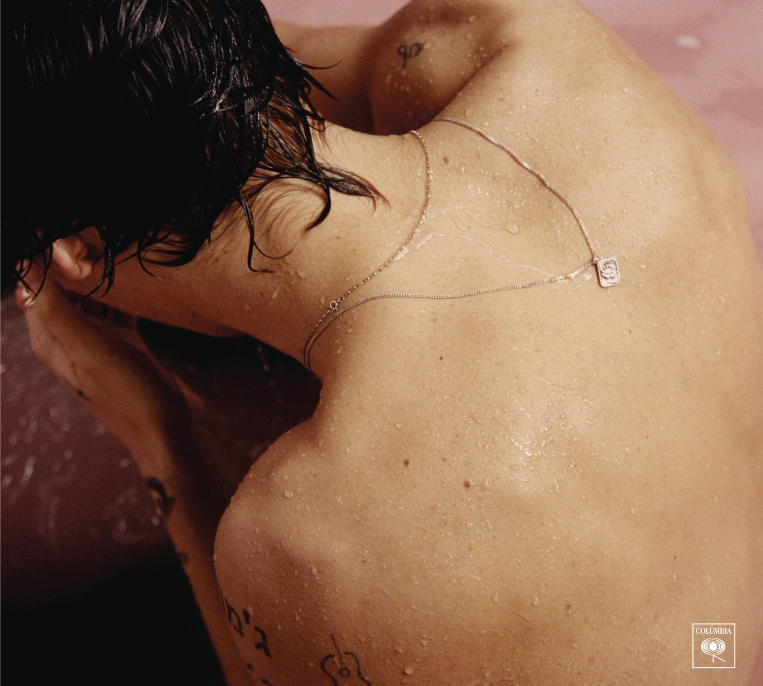 HARRY STYLES (LP Vinilo) – Plastic Books