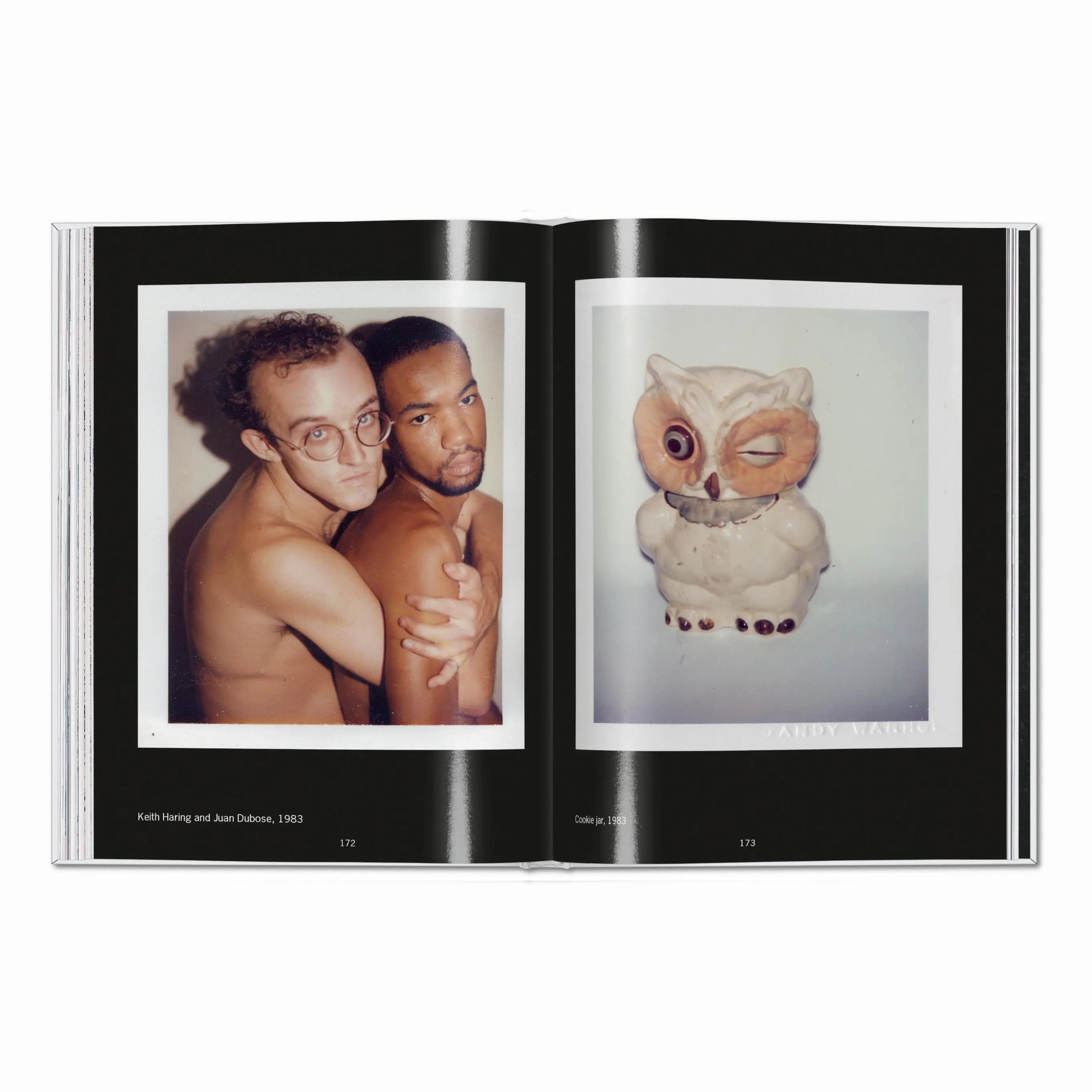 Andy Warhol: Polaroids 1958 – 1987 – Plastic Books