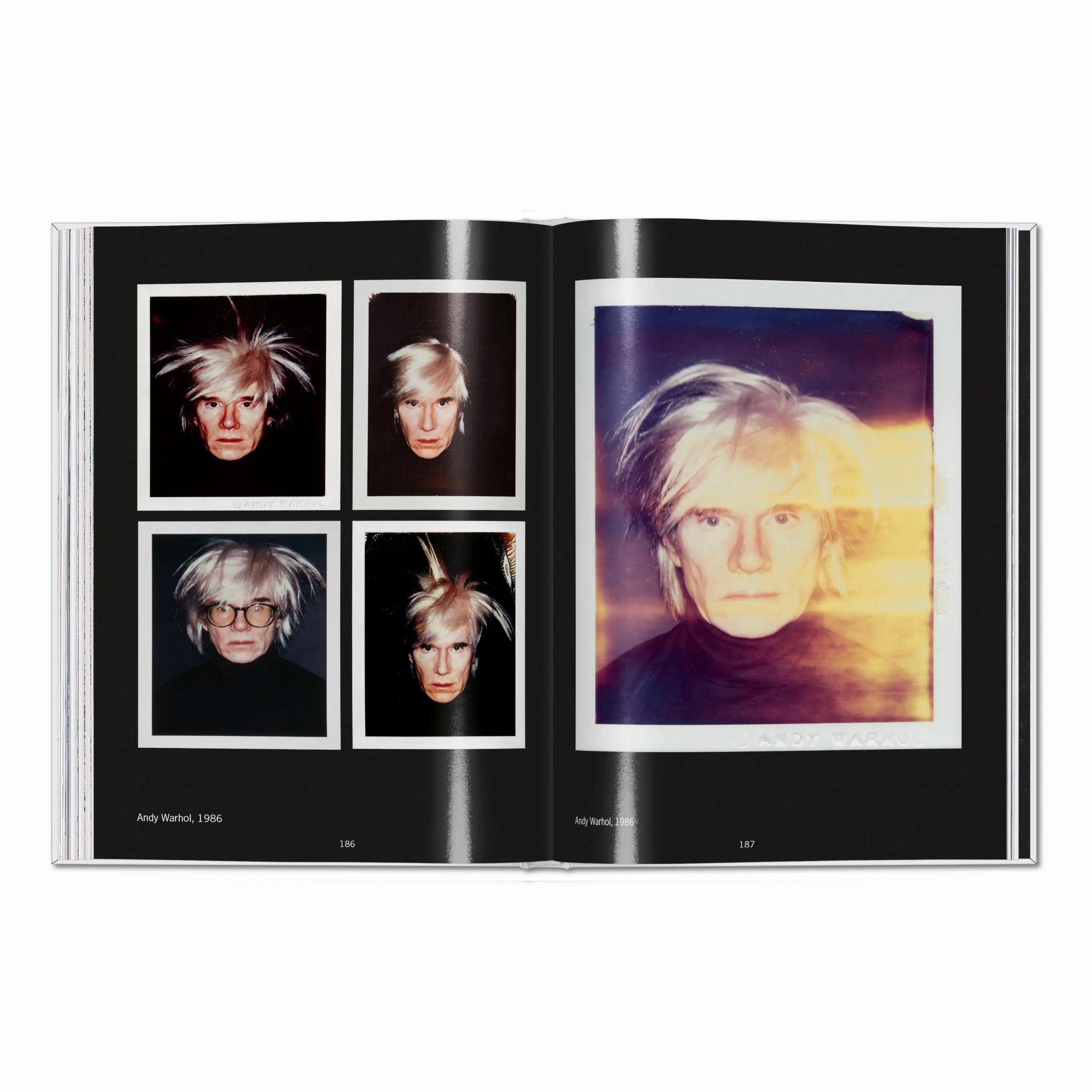 Andy Warhol: Polaroids 1958 – 1987 – Plastic Books