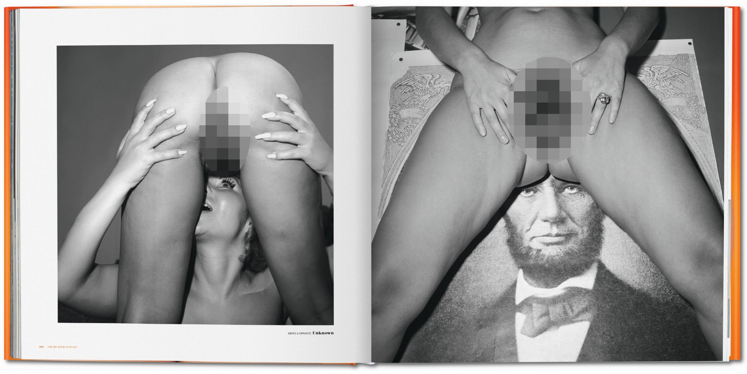 The Big Book of Pussy – Plastic Books