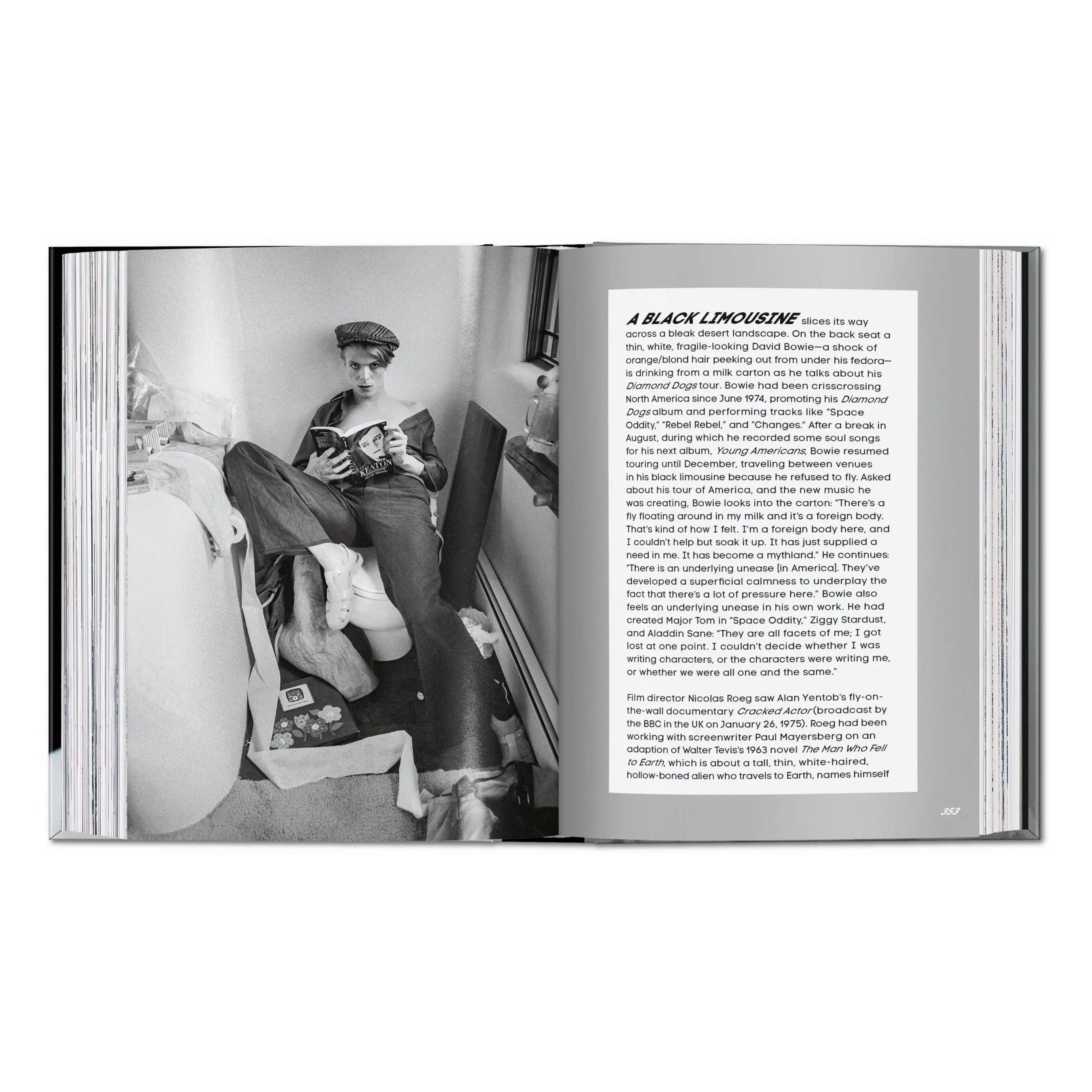 DAVID BOWIE. The Man Who Fell to Earth – Plastic Books