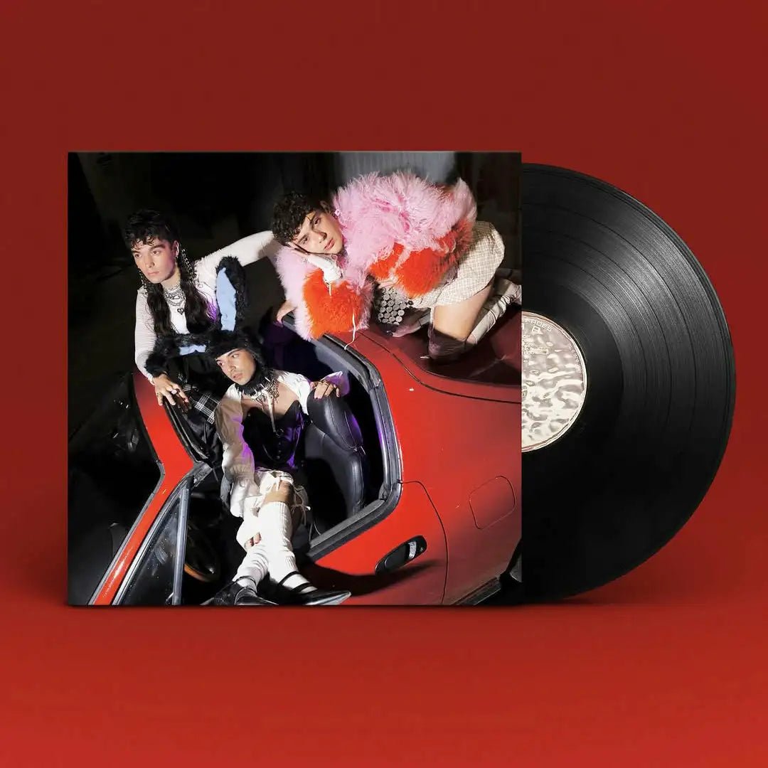 Metallix (Vinilo Firmado) – Plastic Books