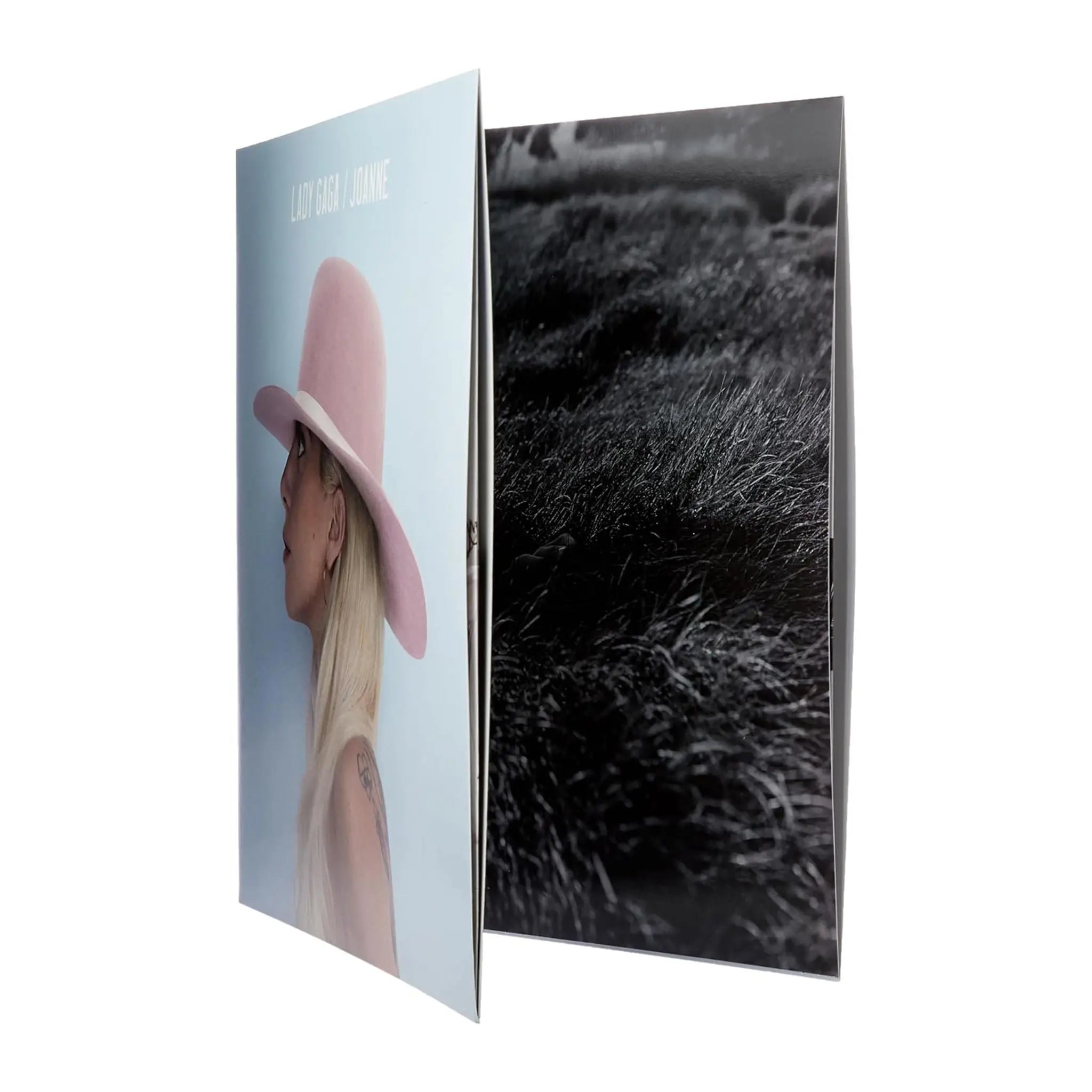 Joanne (Deluxe) – Plastic Books