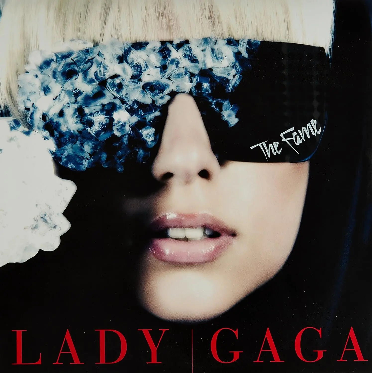 The Fame (2LP) – Plastic Books