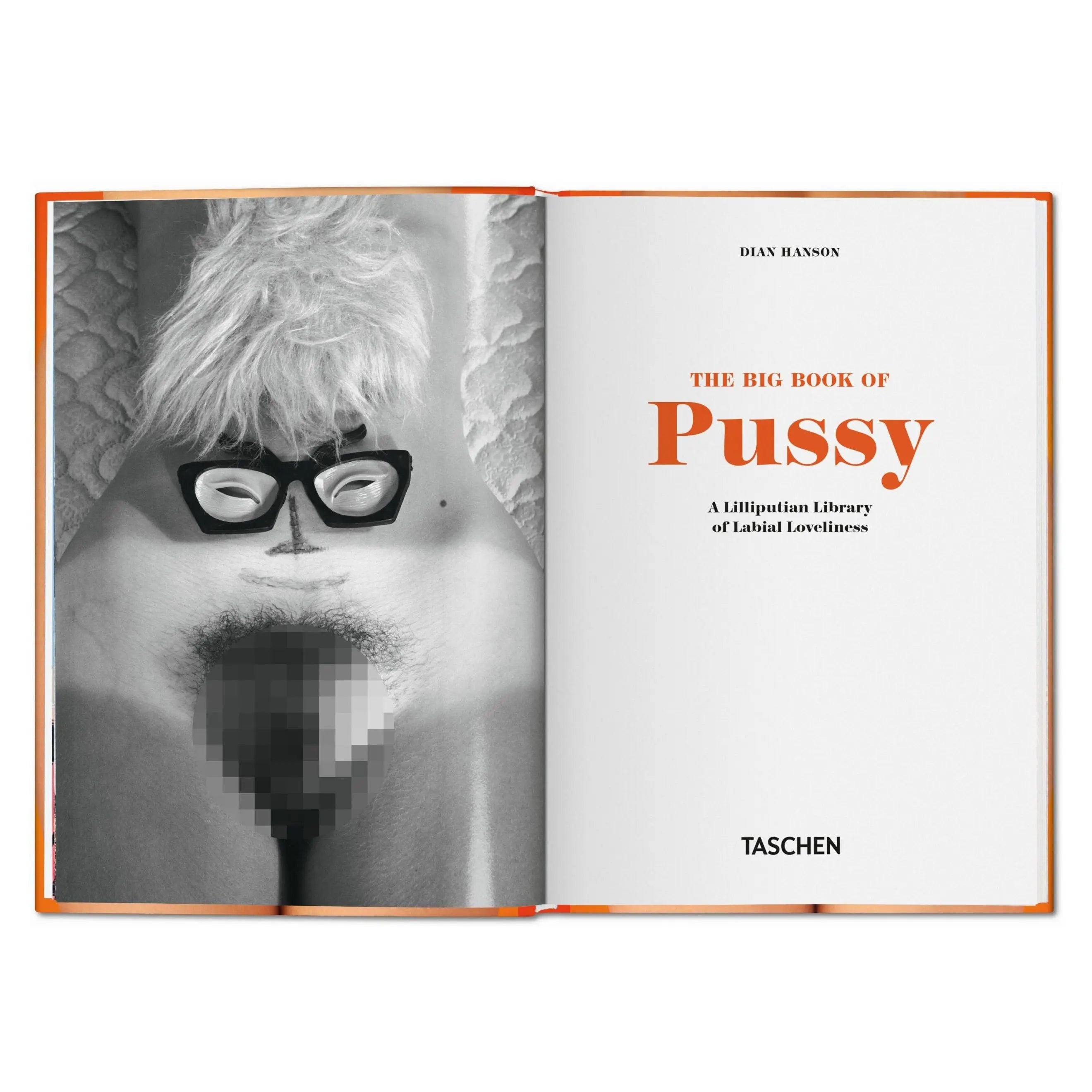 The Little Big Book of Pussy – Plastic Books