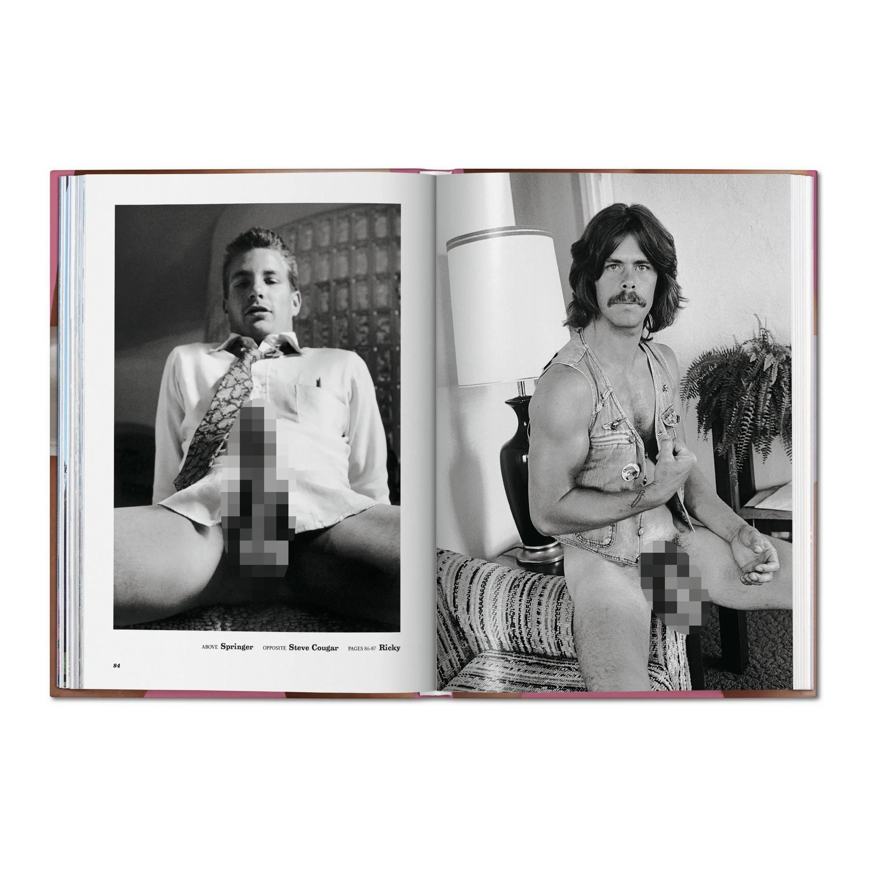 The Little Big Penis Book – Plastic Books