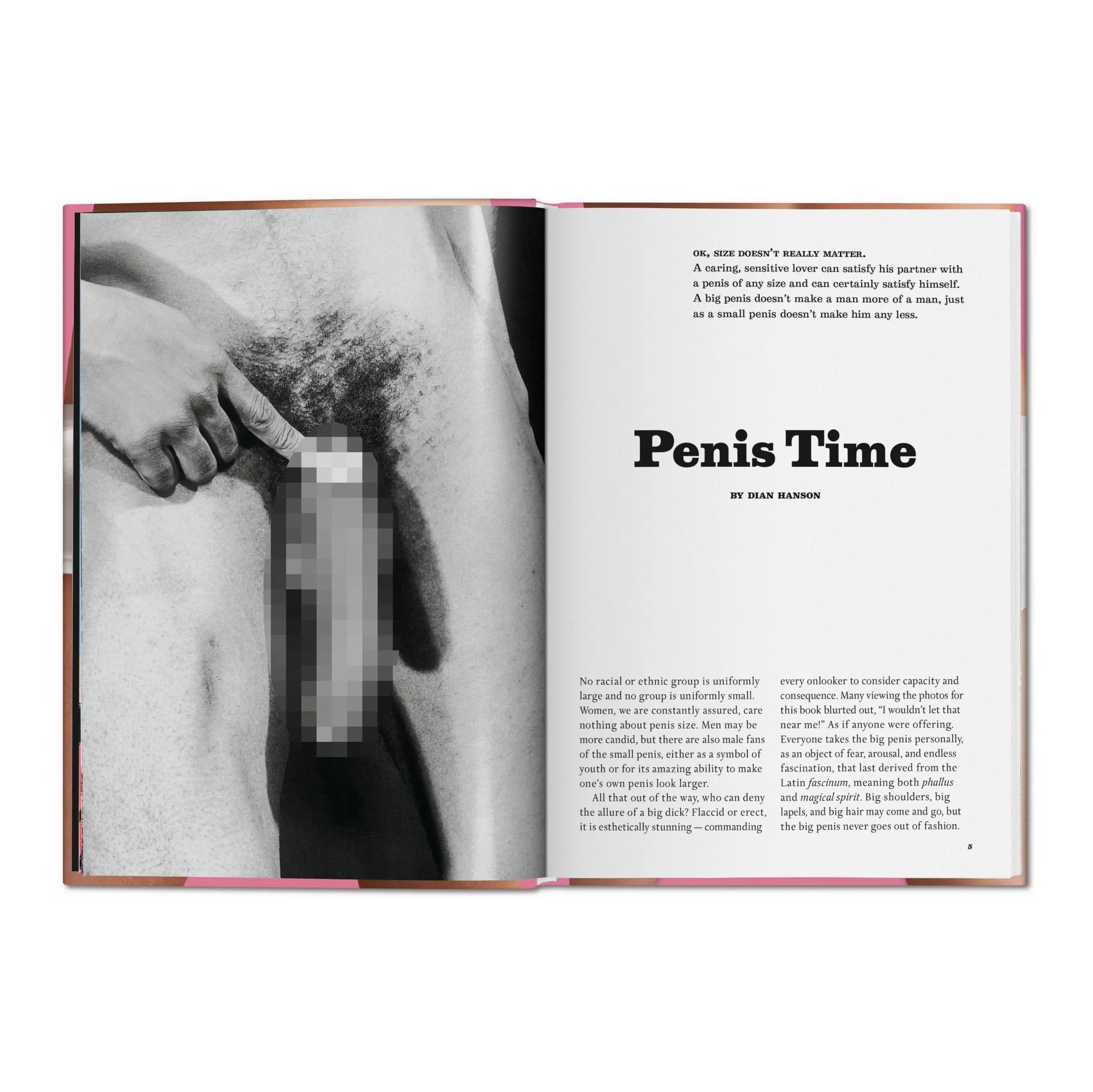 The Little Big Penis Book – Plastic Books