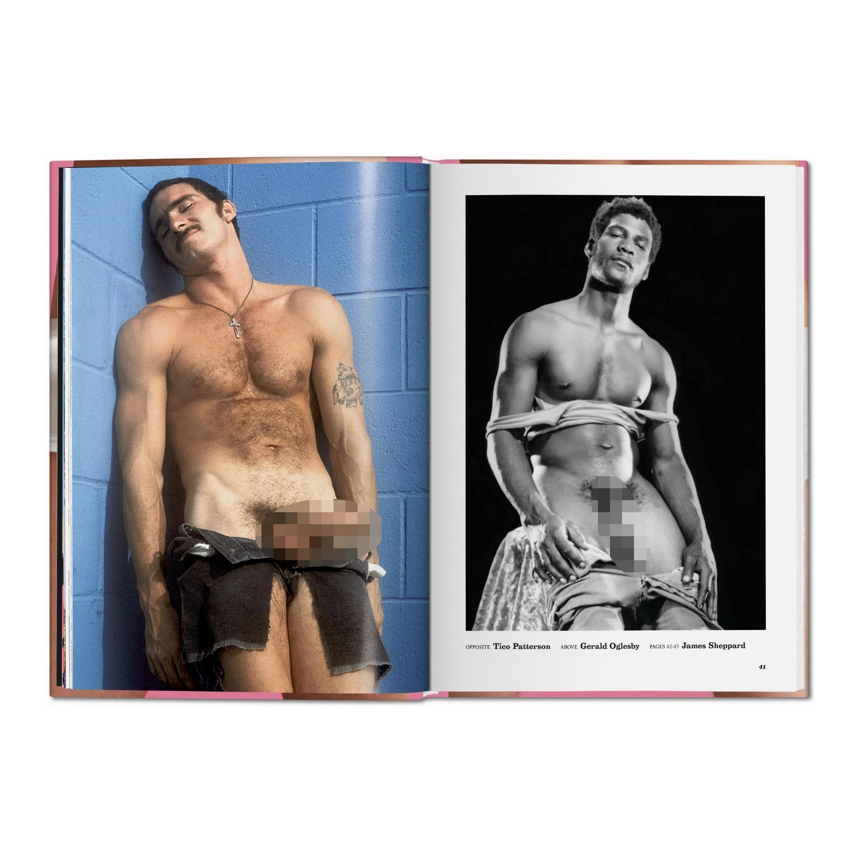 The Little Big Penis Book – Plastic Books