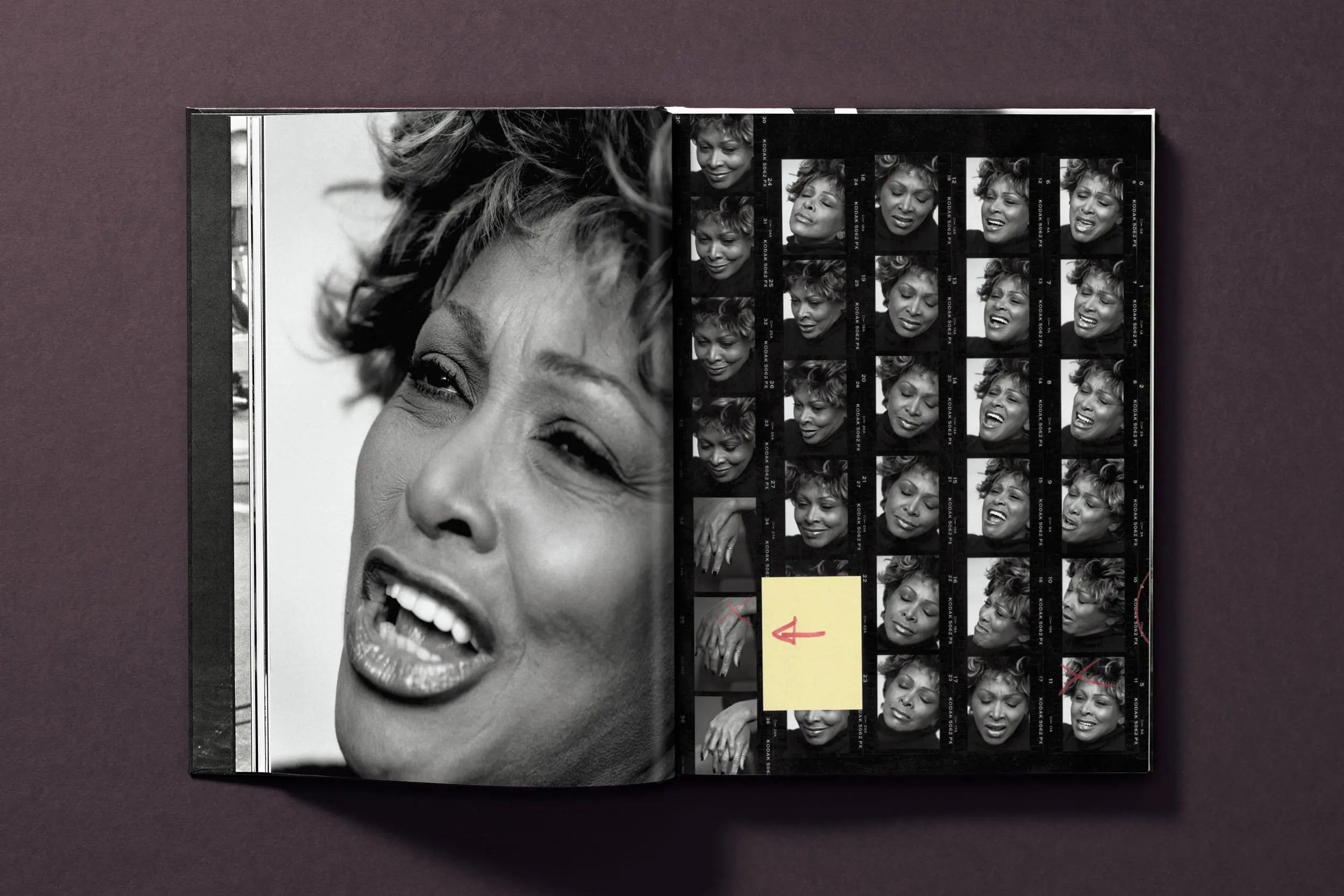 Tina Turner by Peter Lindbergh – Plastic Books